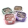 plastic lunch box